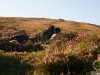 Albergue-laTorre-la-berrea-006