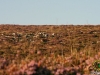 Albergue-laTorre-la-berrea-007