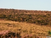Albergue-laTorre-la-berrea-008
