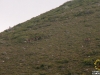 Albergue-laTorre-la-berrea-015