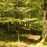 Albergue-la-torre-slider2